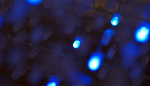 Vídeos e obras interativas 8