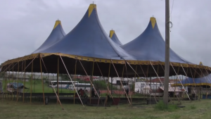 Vídeos e obras interativas 6